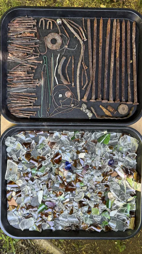 The amount of sharps collected from my 0.19 acre yard.