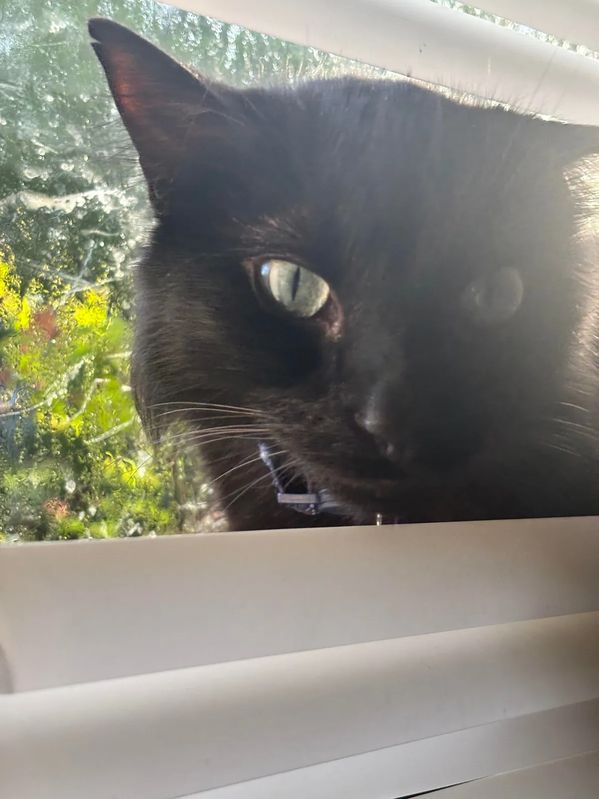 I lost my Lapis last night💔