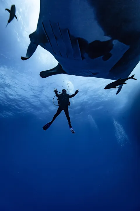 Underwater is just space with better lighting.