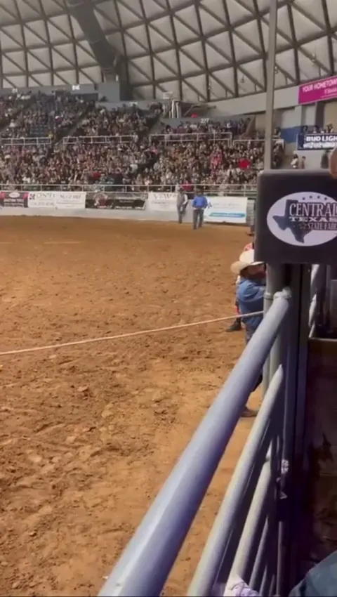 Father jumps on unconscious son to save him from being gored by out of control bull