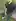 Reminder to touch grass for a sec