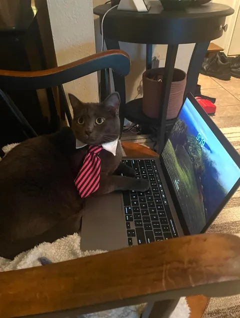 It’s her first day as a sales rep, tell her she’s doing a great job