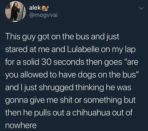 Kinda guy I would hangout with