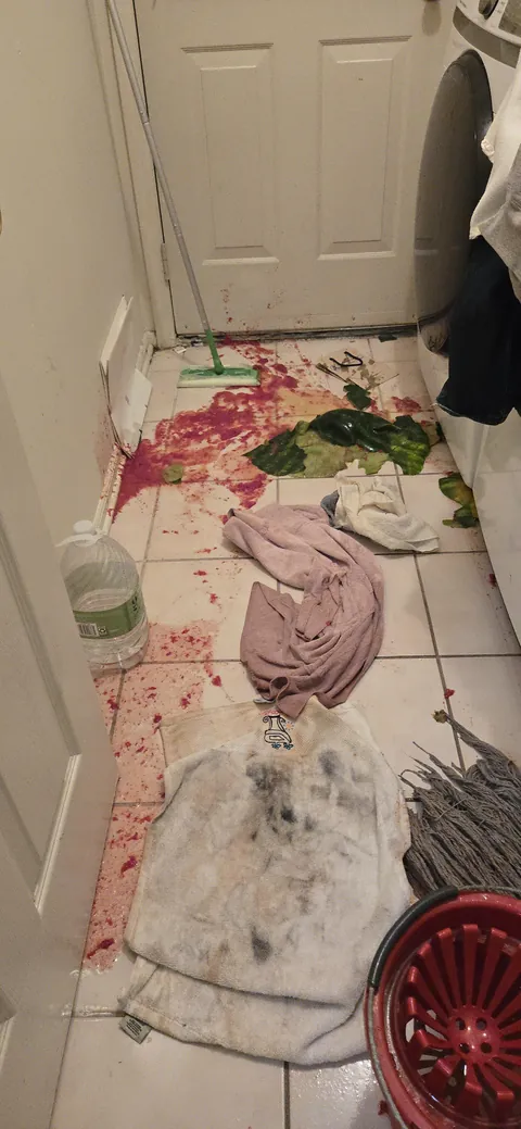 Watermelon burst in the middle of the night, right before my flight in the AM.