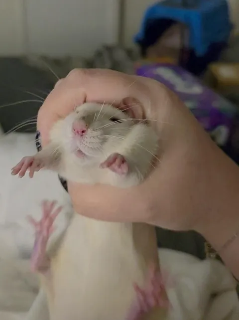 Shame him for being stinky