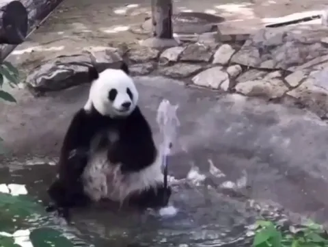 what d'you mean, "I can't hold the water"?