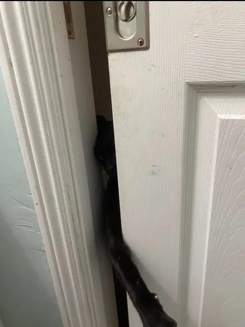 My void does not respect my privacy. I can’t poop in peace 😑