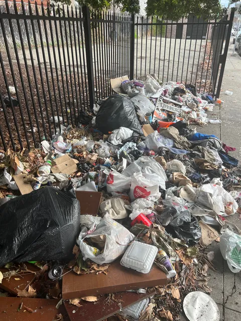 I clean up illegal dumping in Oakland for fun. This pile had more than 40 syringes.