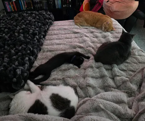 This is Oswald, my first void 🖤 I adore him and just wanted to share him with y'all