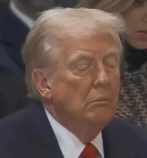 night night, donny… 😴