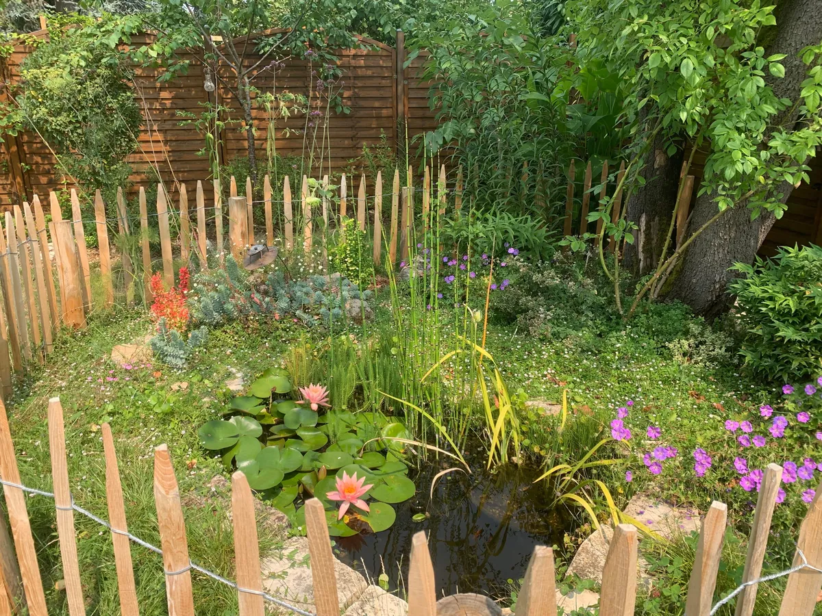 A small pool in town 🐸