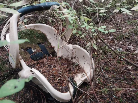 Well that's disturbing