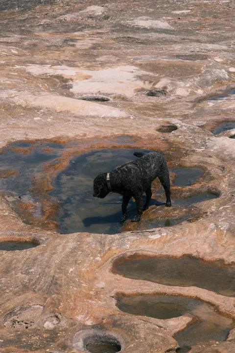 Our first week in Sydney