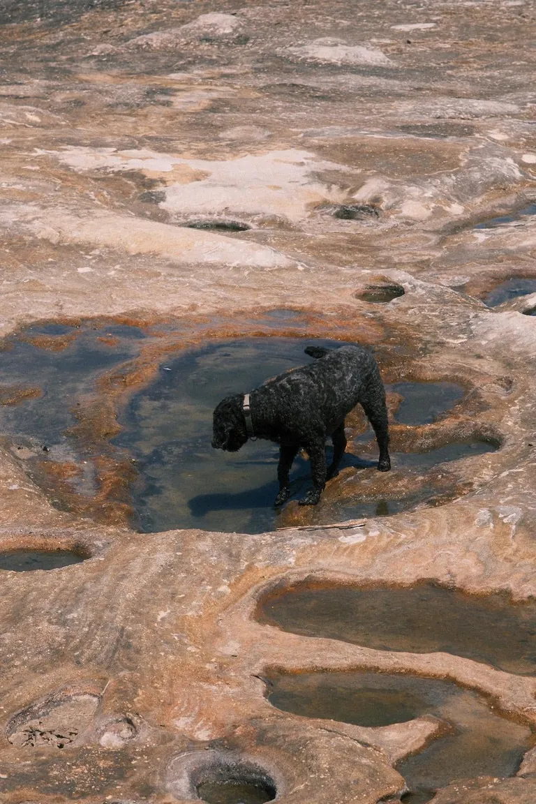 Our first week in Sydney