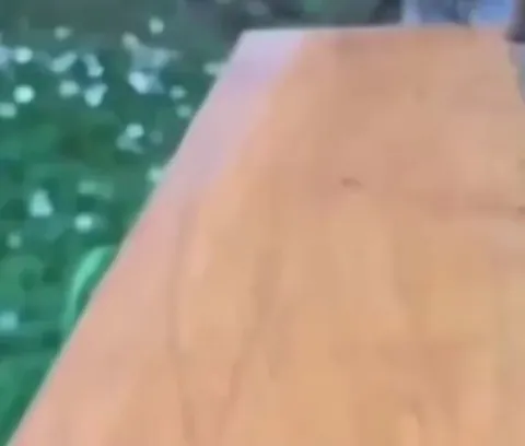 Bees are pretty Bad at landing