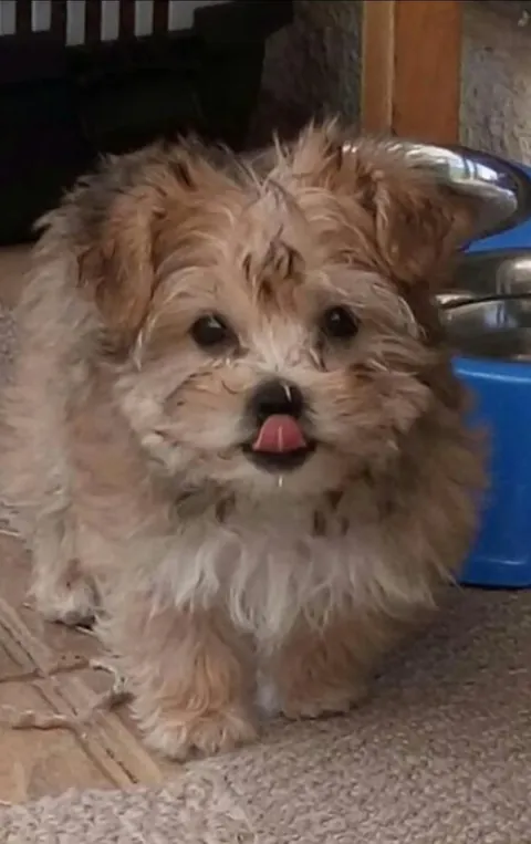 Here's my kinda old guy, before and after