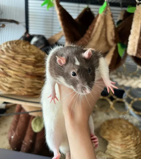 Found him like this not moving not reacting - gave him a lecture why this is not okay
