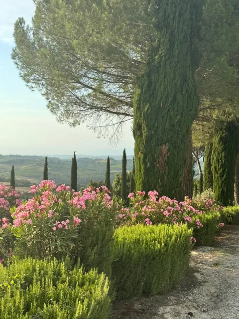 Under the Tuscan Sun ☀️