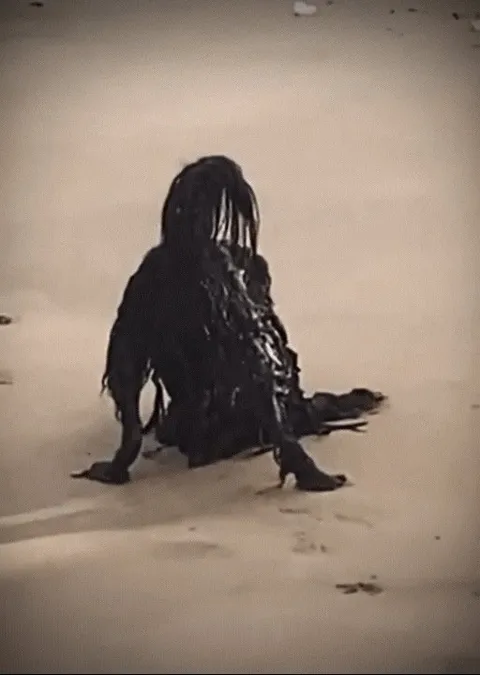 Found on a beach… oh wait.