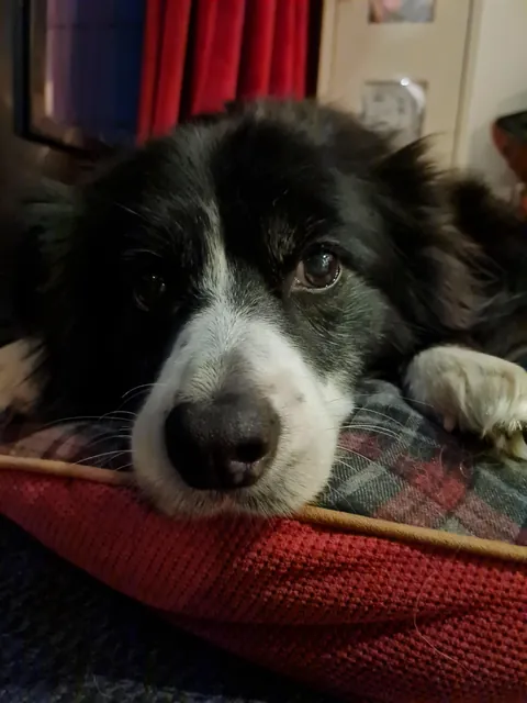 My best friend tessa turned 16 :)