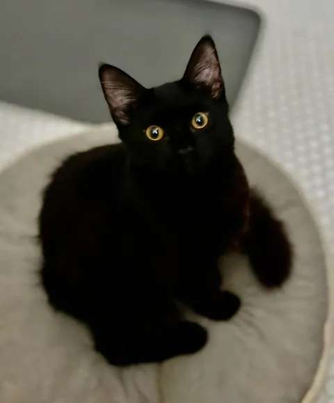 I'm overdue to share my baby, Nessa