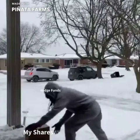 Tomorrow shall be wild