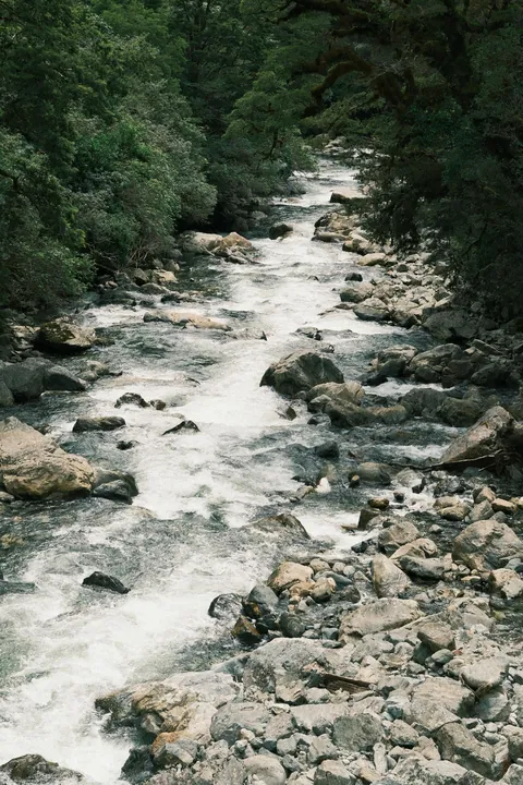 Traveling through New Zealand: Milford and Doubtful Sound