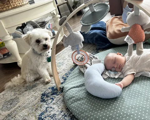 Good old boy, blind as a bat with kidney failure, but he still always sticks close, watches over our kids (this is #3)