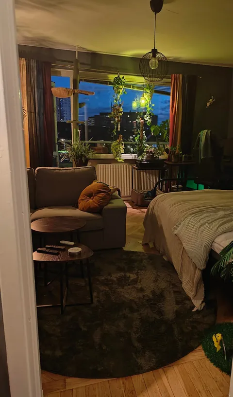 I love what my apartment is becoming! A tour