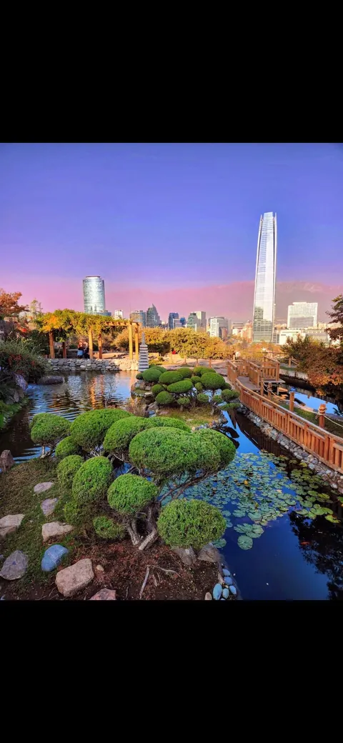 A few pics from my first time in Chile