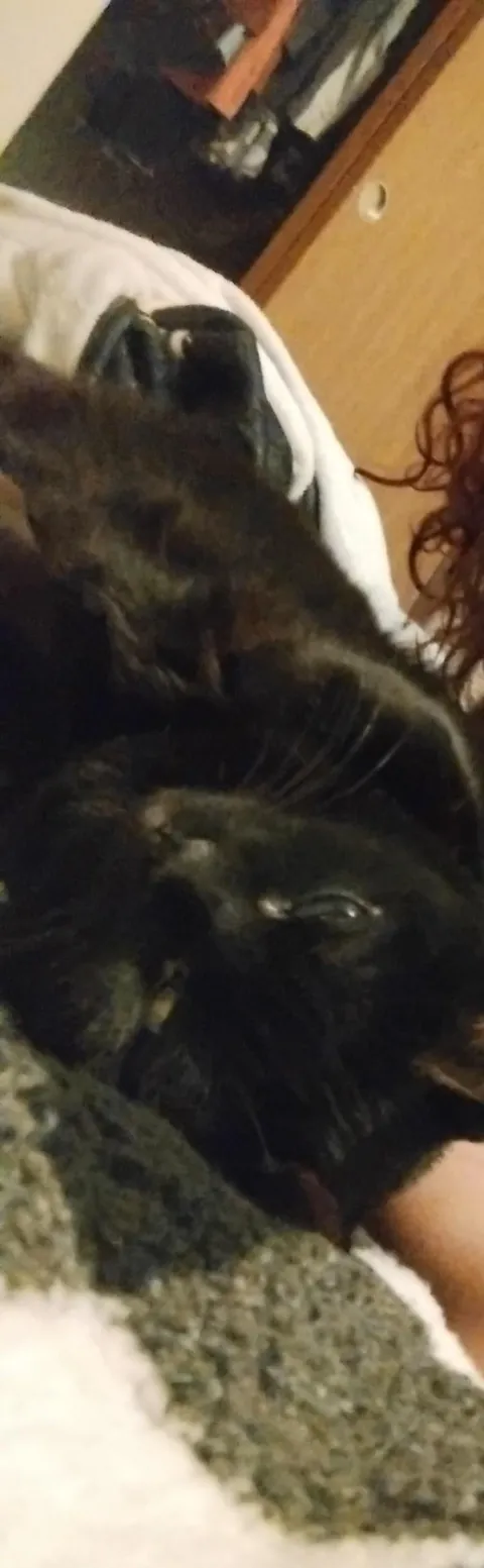 The post that changed my life and gave me my girl