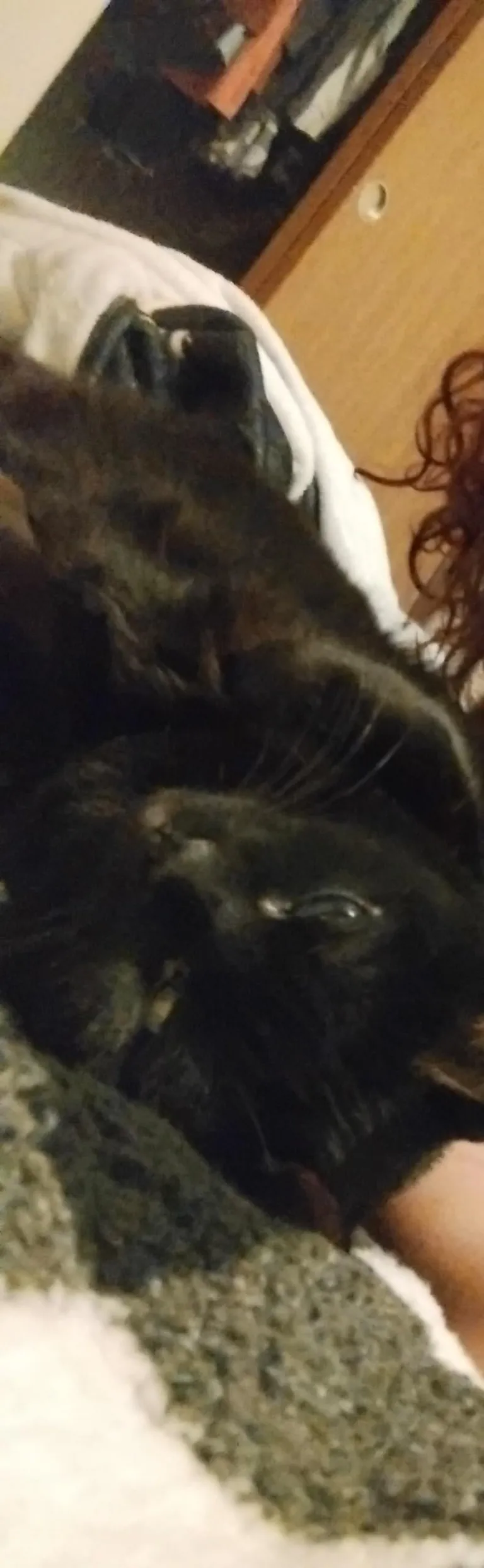 The post that changed my life and gave me my girl