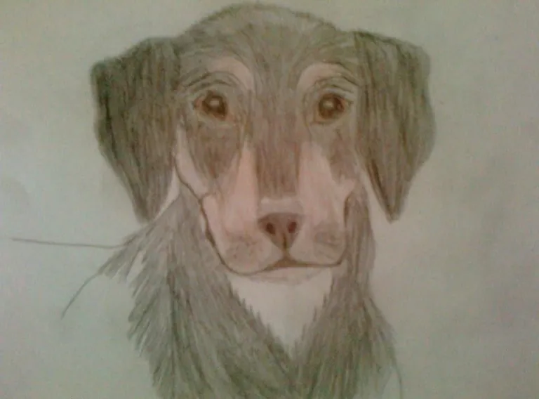 My dog has been with me for 15 years, this is a drawing I made of her when I was 10, vs a drawing I just finished at 24