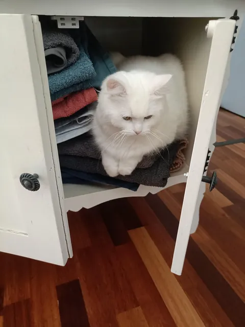 She likes to pretend she's a towel