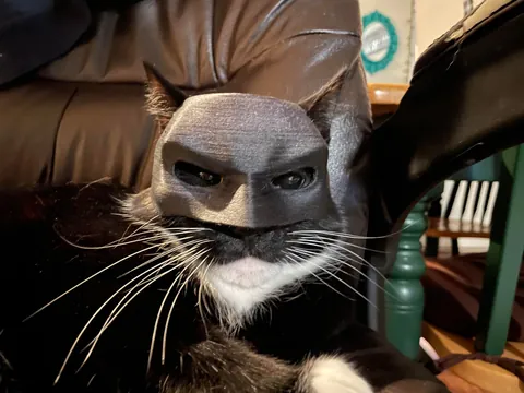 I never wanted to have to make this post. For my baby, Turkleton