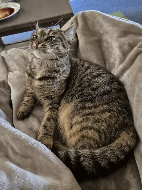 When you smell your mom preparing the GOOD food