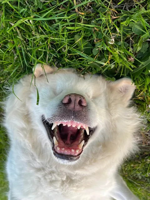 Just my blind girl enjoying life