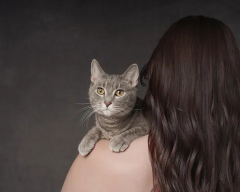 Won a professional photoshoot with my son 🖤