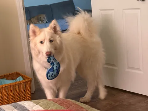 I promise she’s real!!