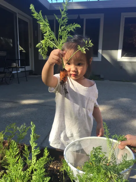 Nothing captures the essence of gardening like the look of quiet disappointment on my 3 year old daughter's face as she pulled up the carrot she'd been watering for 3 months.