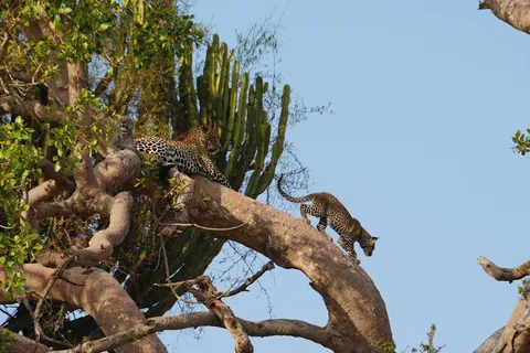 Why October in Tanzania was the best travel decision I’ve ever made (Serengeti &amp; Ngorongoro)