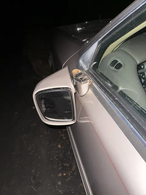 Neighborhood vandals that have been haunting me and neighbors for months and destroyed my mirror today.