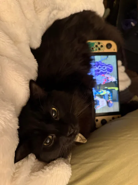 What would you name her?