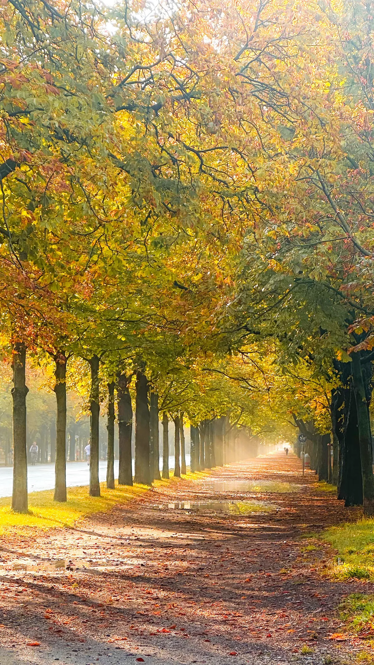 ITAP of Vienna after the rain