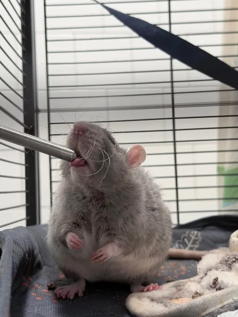 A story told in three pictures