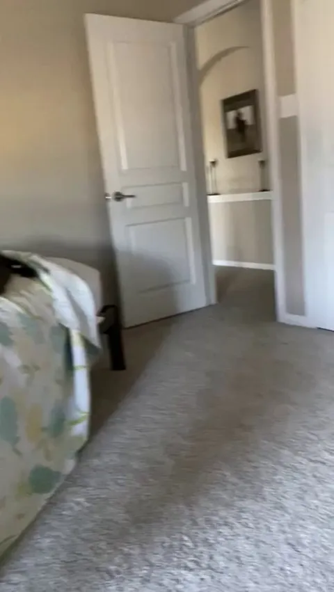 Our pup likes to bring my mom stuff while she works