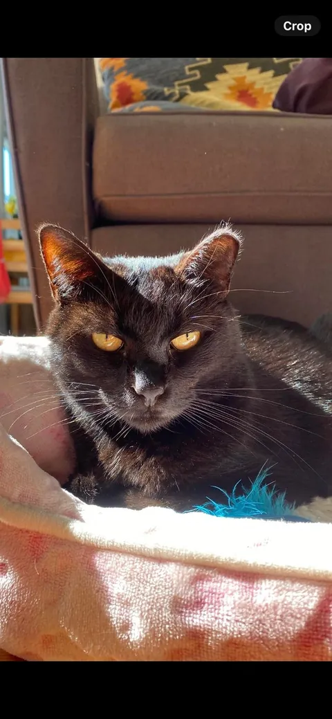 I’m sorry for the sad post. My girl is home.