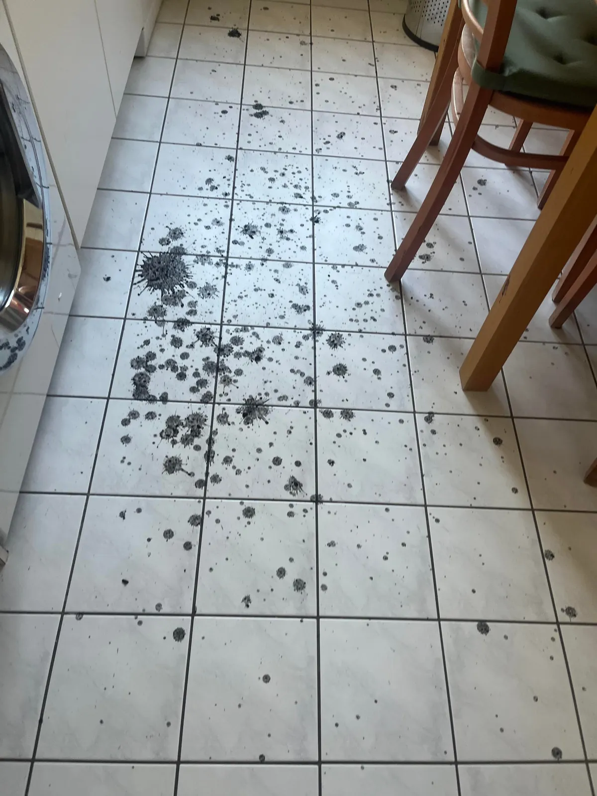 Sink drain exploded the exact day after I got the apartment professionally cleaned. Oh well.