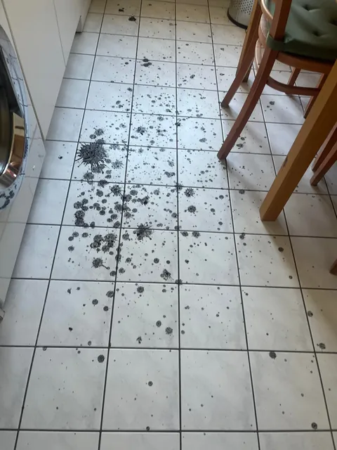 Sink drain exploded the exact day after I got the apartment professionally cleaned. Oh well.