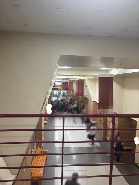 My school did a walkout to protest ICE today